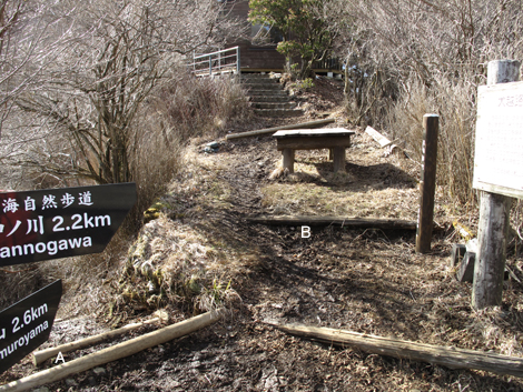 20160218hike (512)